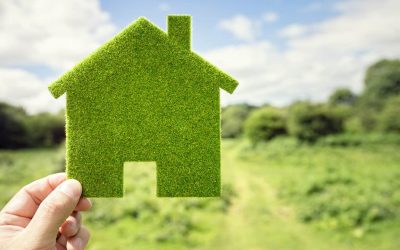 Eco-friendly Tips to Keep in Mind when Renovating